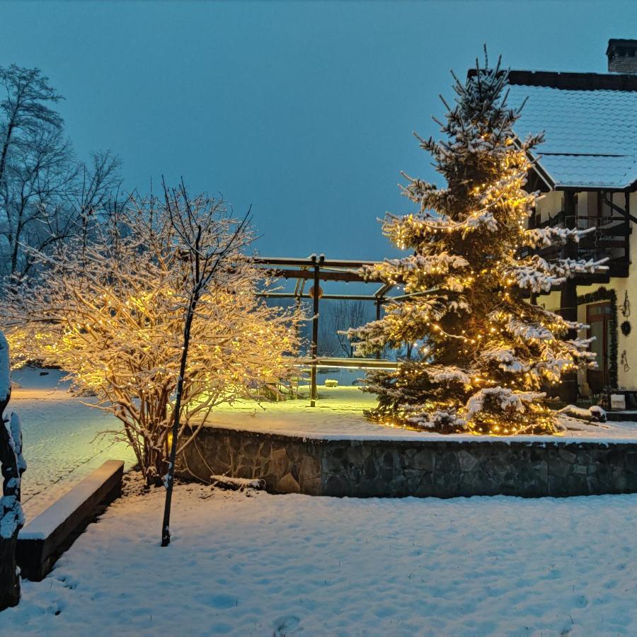 Pensiunea Doina Vadu Izei Exterior foto