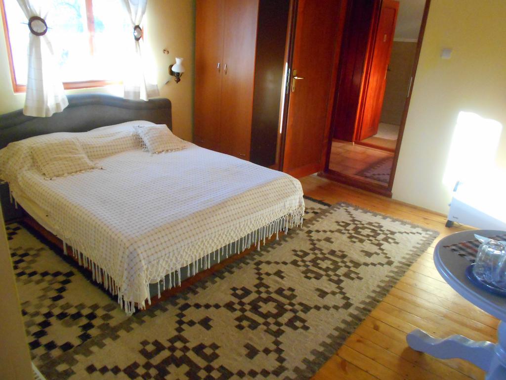 Pensiunea Doina Vadu Izei Habitación foto