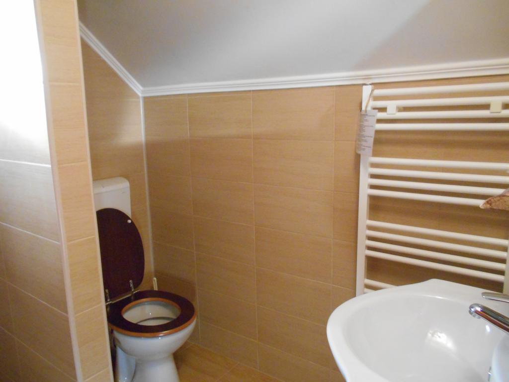 Pensiunea Doina Vadu Izei Habitación foto