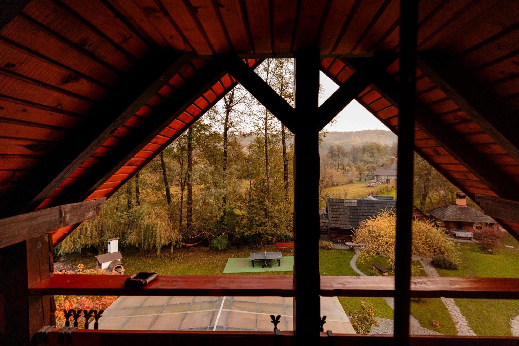 Pensiunea Doina Vadu Izei Exterior foto