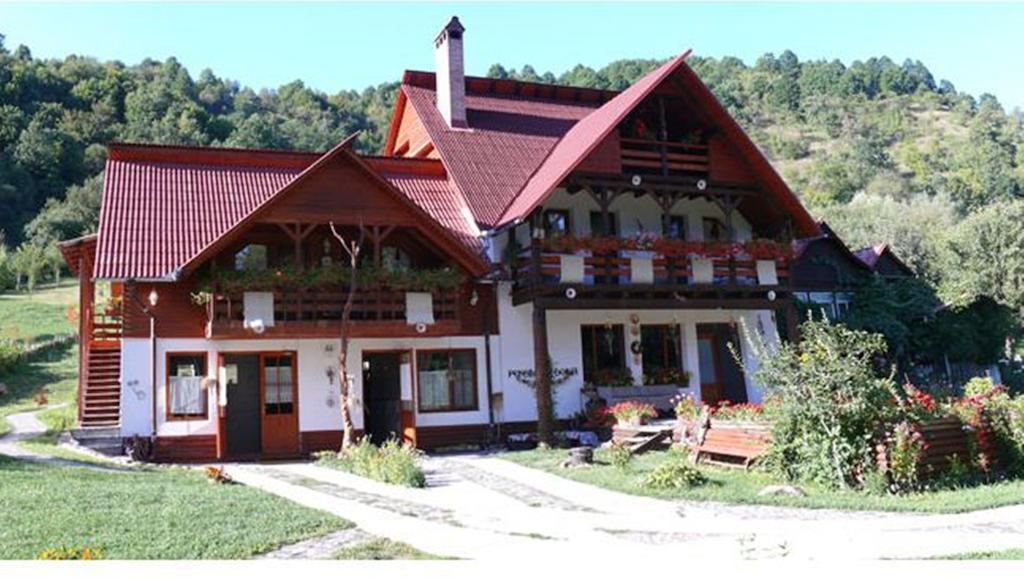 Pensiunea Doina Vadu Izei Exterior foto