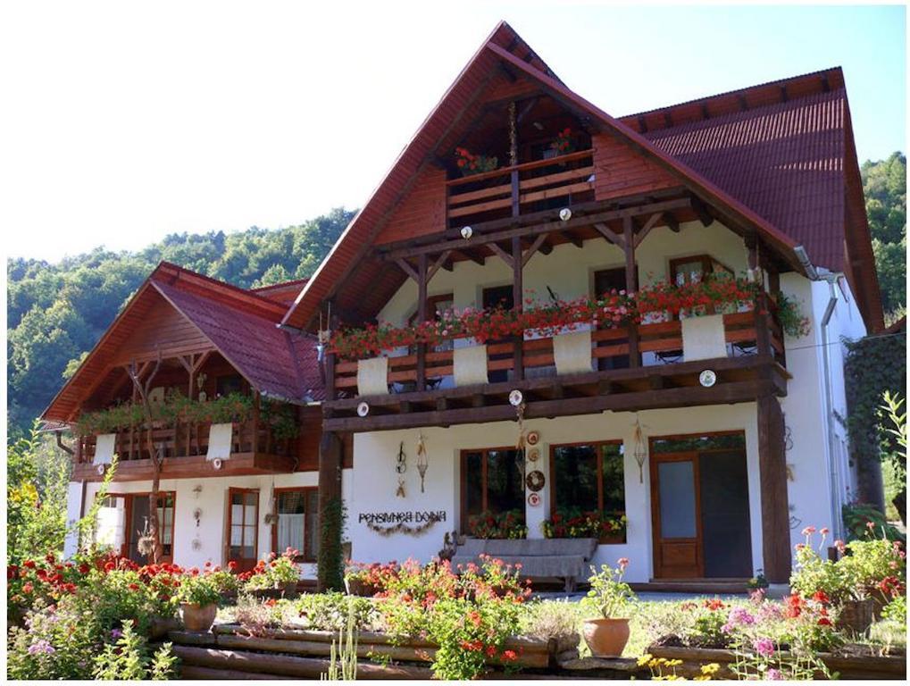 Pensiunea Doina Vadu Izei Exterior foto